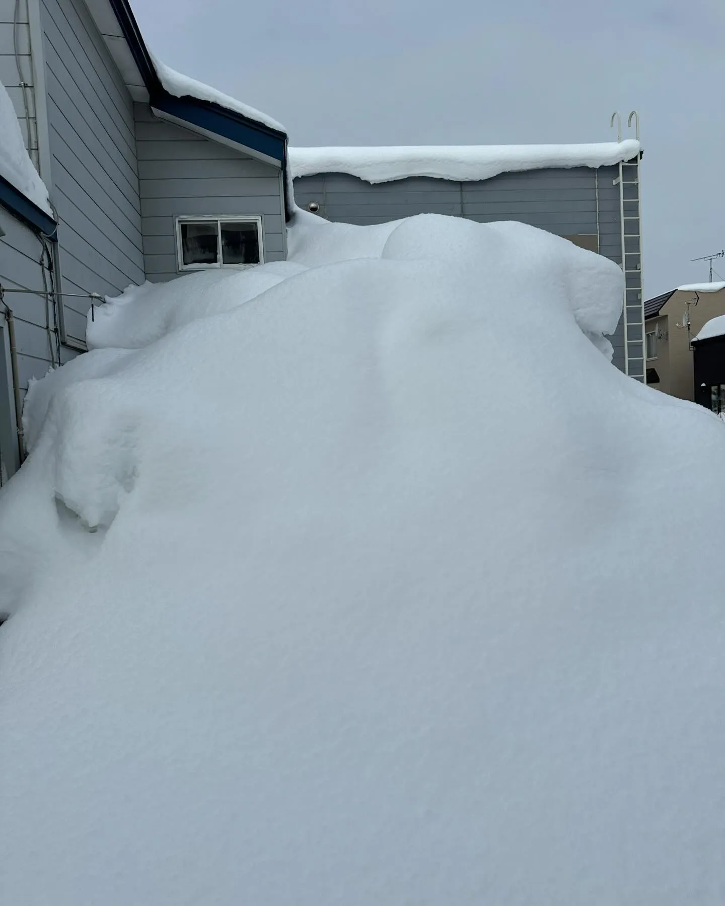 雪かきやってきました🎵最近は特にこの依頼が多いです。